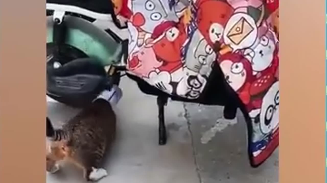 Bad day will be better watch this video part 1