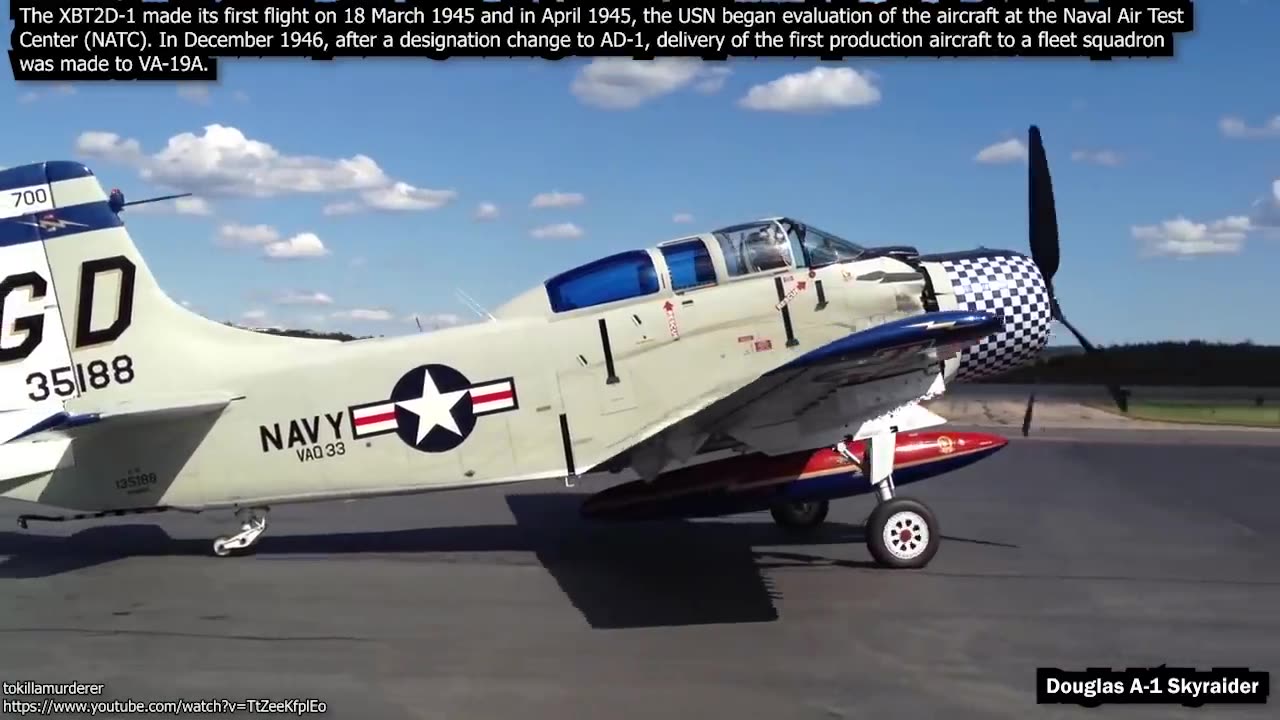 Big Old DOUGLAS SKYRAIDER AIRPLANE ENGINES Cold Startup_