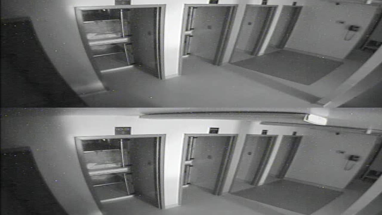 1704CRIB01CribAnalysisArea_2021-01-05_00h00min01s407ms.mp4