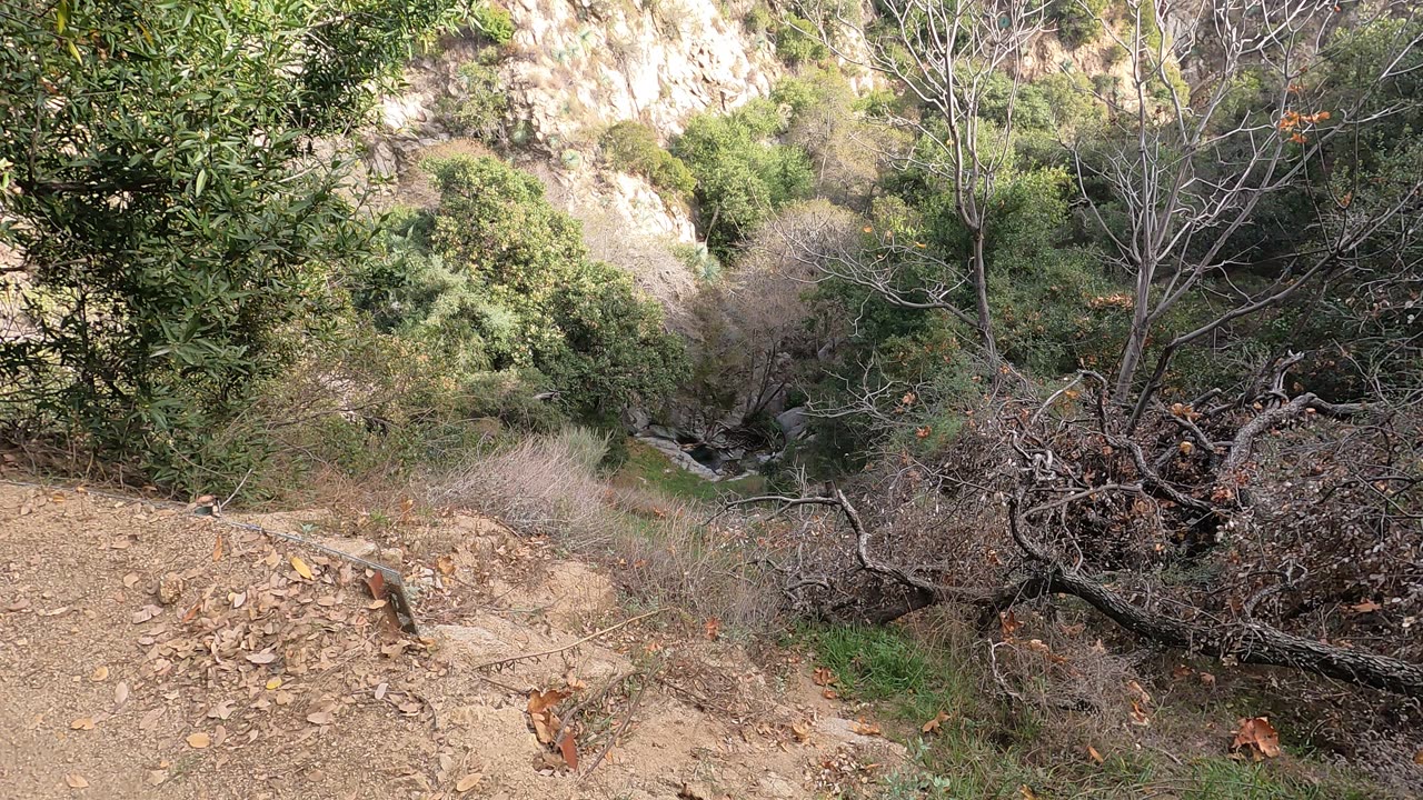 Mount Wilson trail