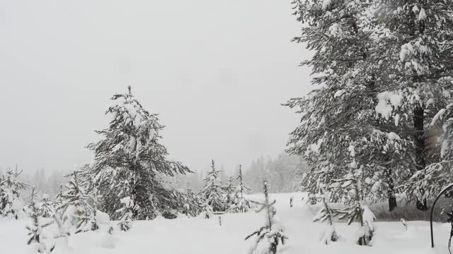 Soft Piano Music For Relaxation | Snowing Background | Relax Music Meditation