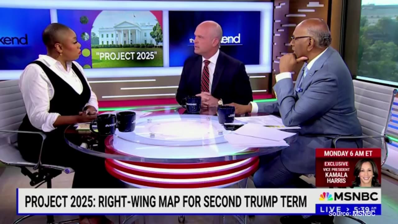 WATCH: MSNBC Host Freaks Out after Colleague Says "Illegal Immigrant"