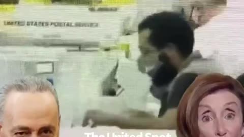 Election Fraud 2020 RIP Nancy and Schumer