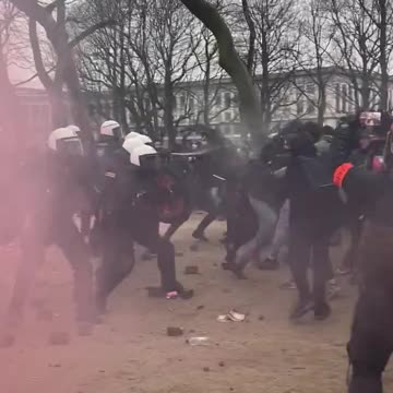 Protest against strict Covid mandates in Brussels devolved into violent rioting