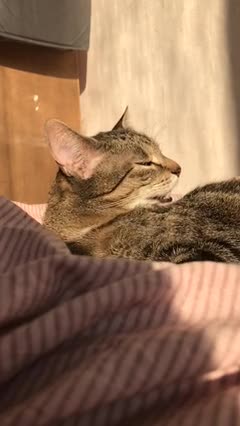 Look at the way he i🤣🤣🤣