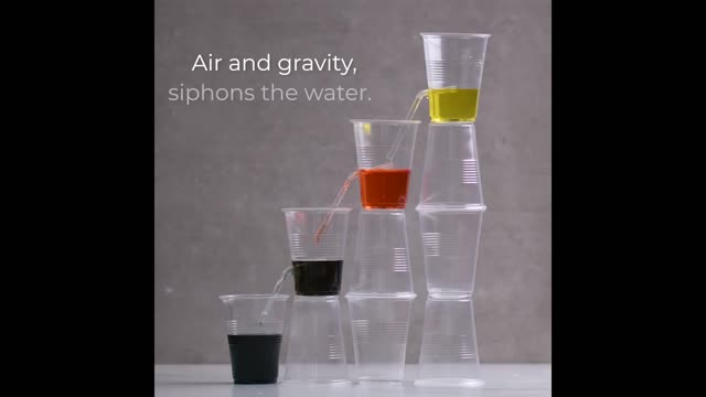 10 Mind Blowing Science Experiments You Can Do at Home Blossom_1080p