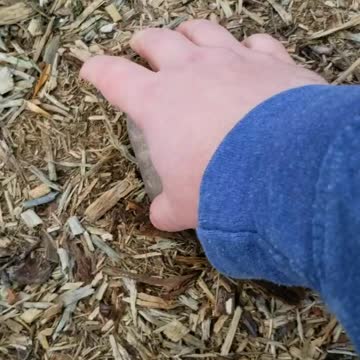 Me, after I've played too much "Breath of the Wild".