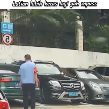 The funny thing is this cat can't jump over the wall