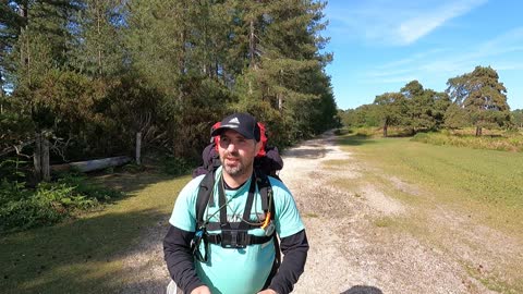 Vlog while I'm hiking in the new forest GoPro