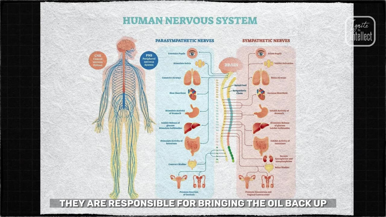 The Greatest Human SECRET 🤯 Version 3 of "This Is The Sacred Secret" INSTANT THIRD EYE ACTIVATION