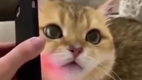 Разговор с товарищем ☺