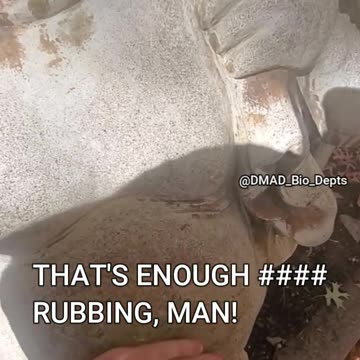 Finals Week Be Like: