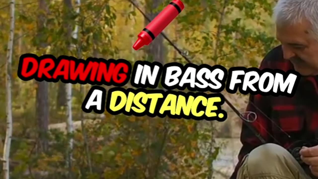 Ultimate Fall Lures for Bass Fishing