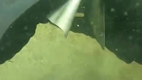Underwater Exploration