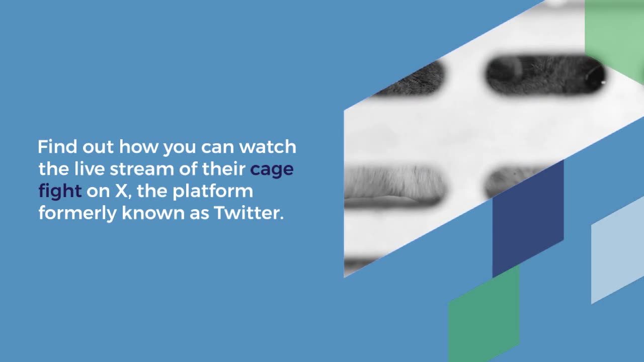 Musk vs. Zuckerberg Fight to Stream on X, But Will it Revive the Platform?