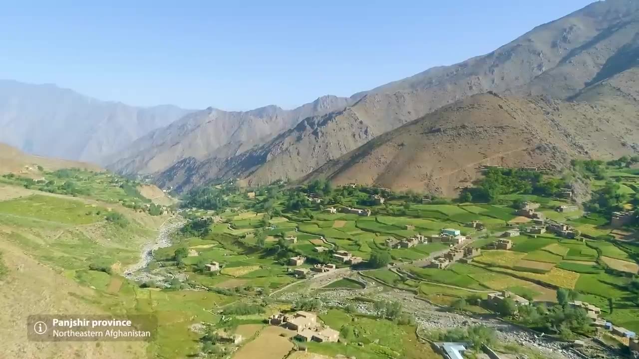 The wildlife Enthusiast's guide to Afghanistan In ShineWorldTv