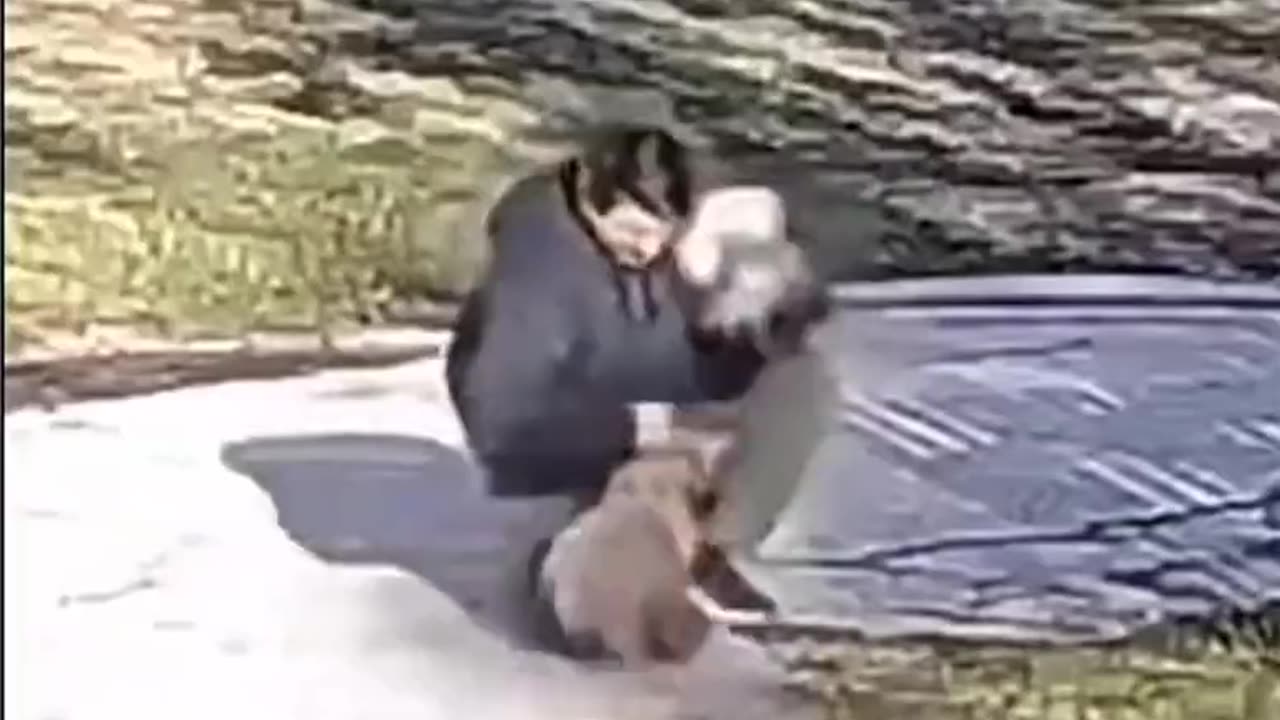 Florida woman stealing dogs๐ฆนโโ๏ธ๐๐ฉ๐โ๐ฆบ