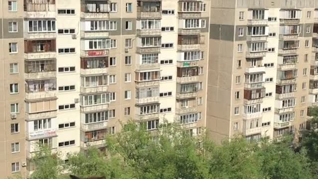 Когда хозяйка не покормила вовремя 👿