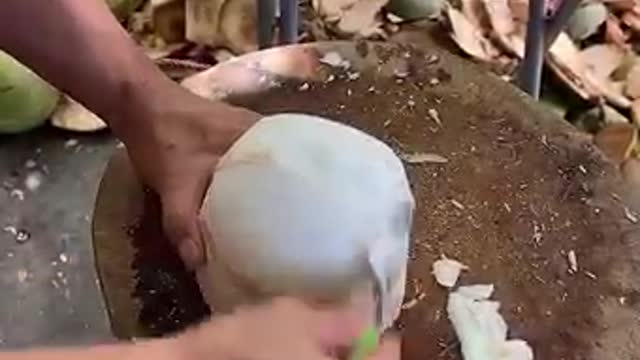 Cutting a coconut to get to the juicy part