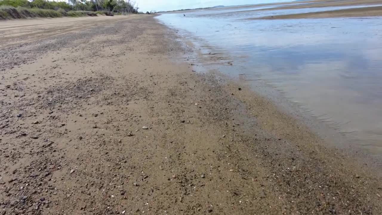 Karl Ashanti Defended the NYPD, Then He Was Arrested (12-23-22) II