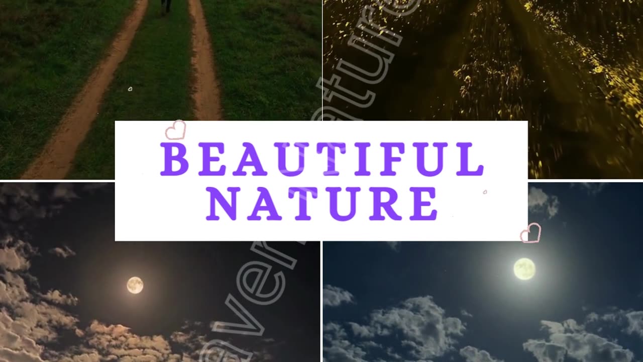 Part 1 Beautiful Nature- Haven Nature's