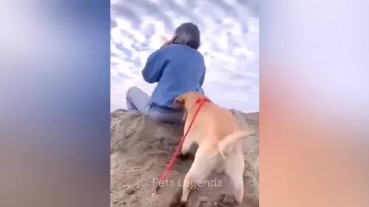 The funniest 2024 animals🐶