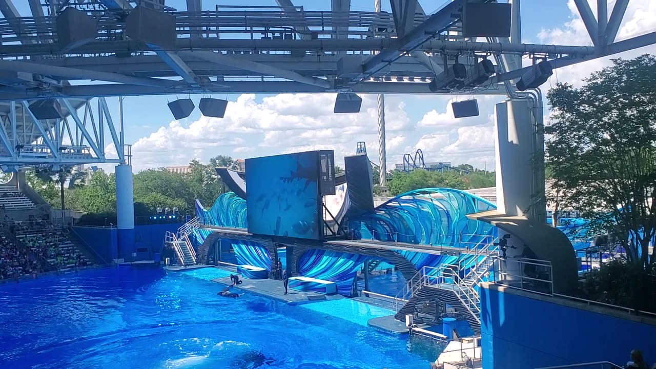 Impresionante Show de Ballenas. Universal Orlando Florida, Sea World