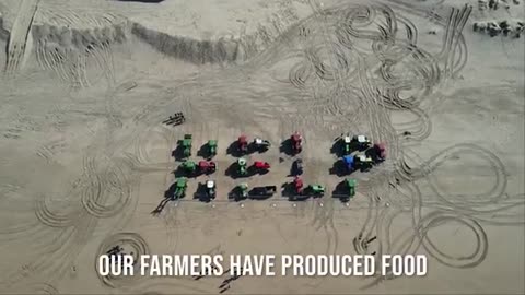 'Let them eat bugs' is now streaming on fox nation.