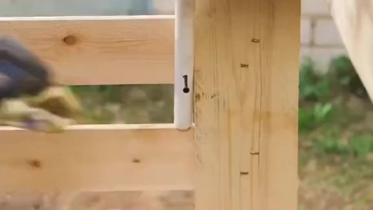 Aaj and a few people on a mesmerizing trip and