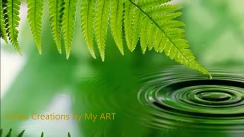 Relaxing Music | Sleeping, Meditation, Stress Relief | [822] ⭐️
