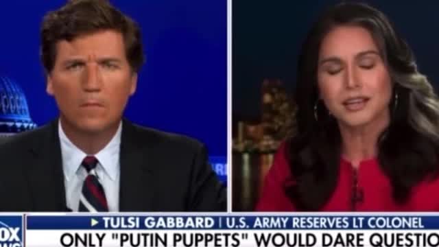 Tulsi Gabbard - Mitt Romney Should Resign