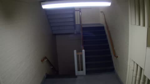 3879FHOB03Stair4_2021-01-05_02h40min00s537ms.mp4