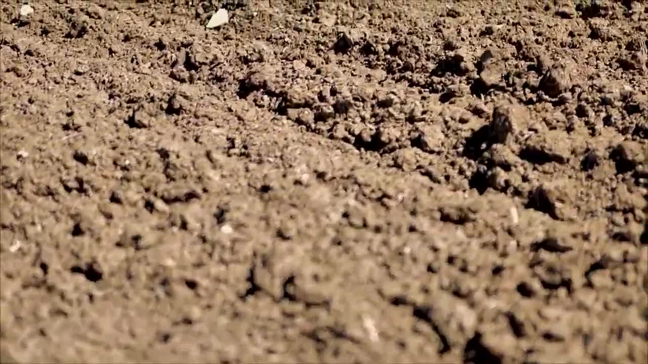Пътят на Вашите биологични продукти