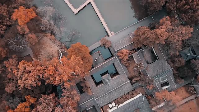 Autumn in Suzhou