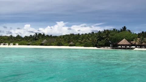 Natural Beauty and Sea