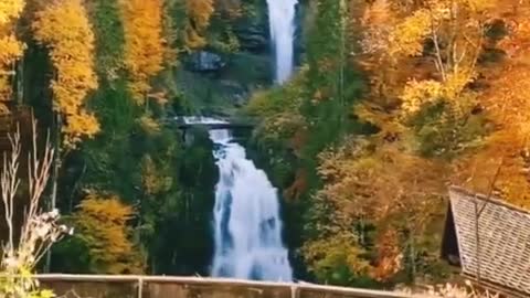 Nature beauty | Stress relief video