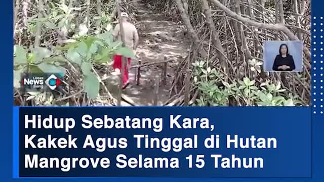 Hidup Sebatang Kara,Kakek Agus Tinggal di HutanMangrove Selama 15 Tahun