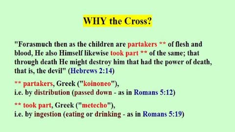 WHY the Cross?