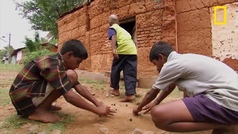 World's Deadliest Scorpion _ National Geographic