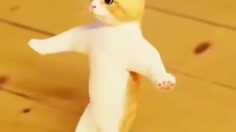 Dancing cat