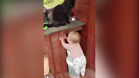 CUTIEST BABIES LAUGHING AND PLYING WITH DOGS AND CATS.