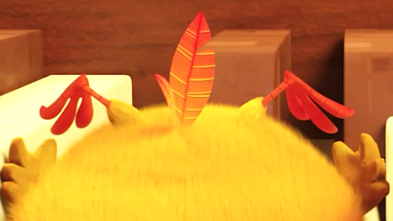 #SHORTS CHICKY
