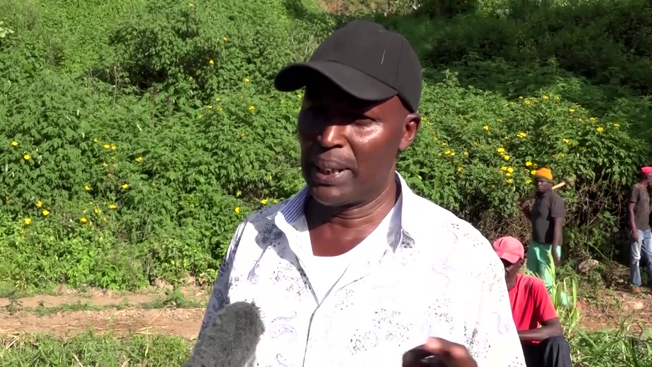 Kenya police probe deaths on Del Monte pineapple farm