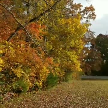 Go Outside! It's Beautiful!