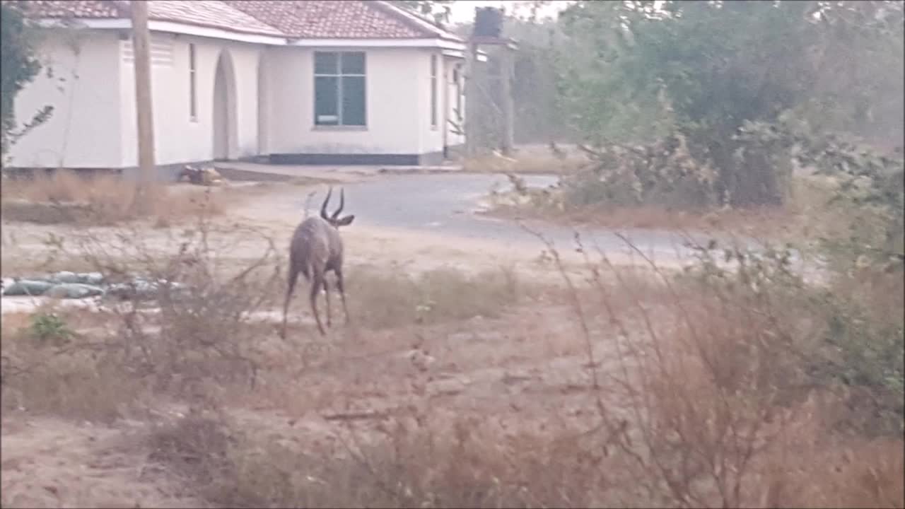 out and about Kenya
