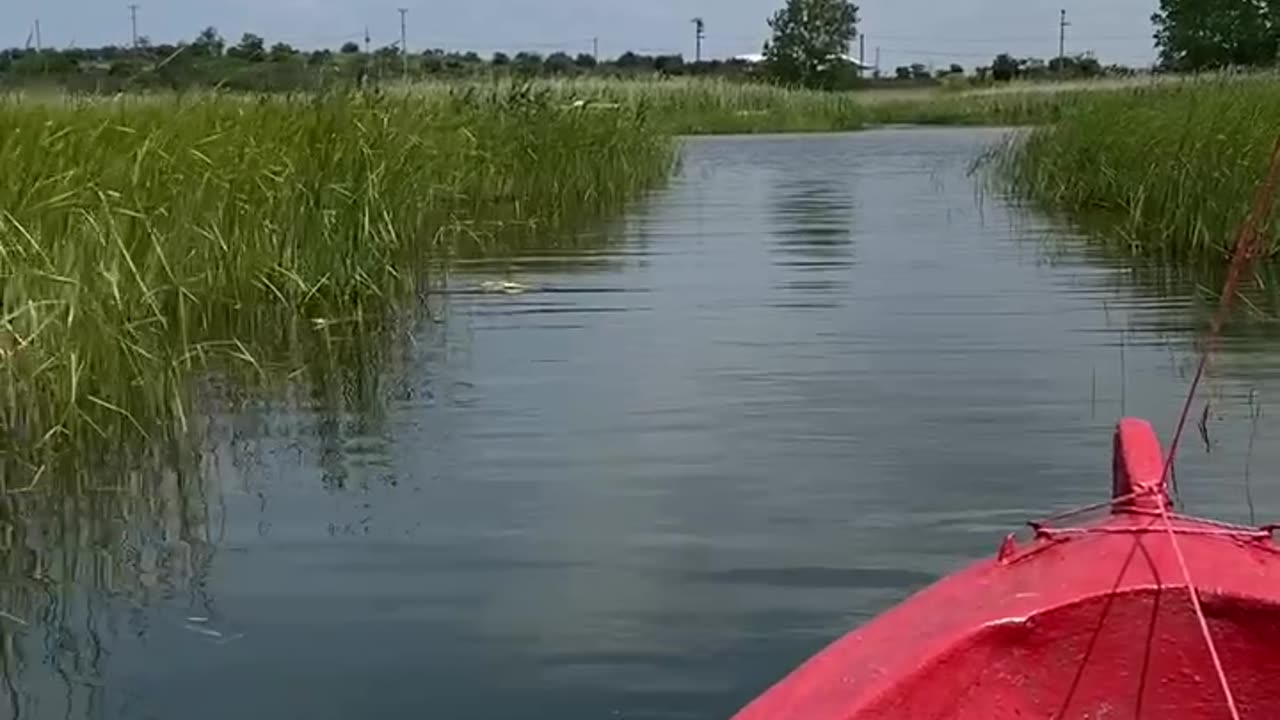 lake view