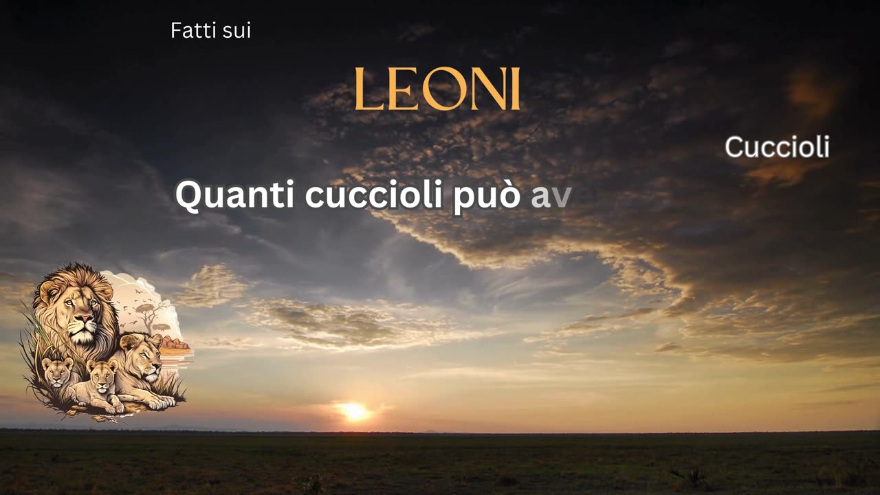 Fatto del Leone 9 - Quanti cuccioli può avere una leonessa?