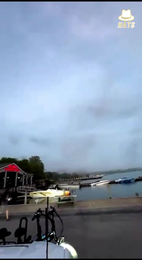 "There are millions and billions and trillions of bugs