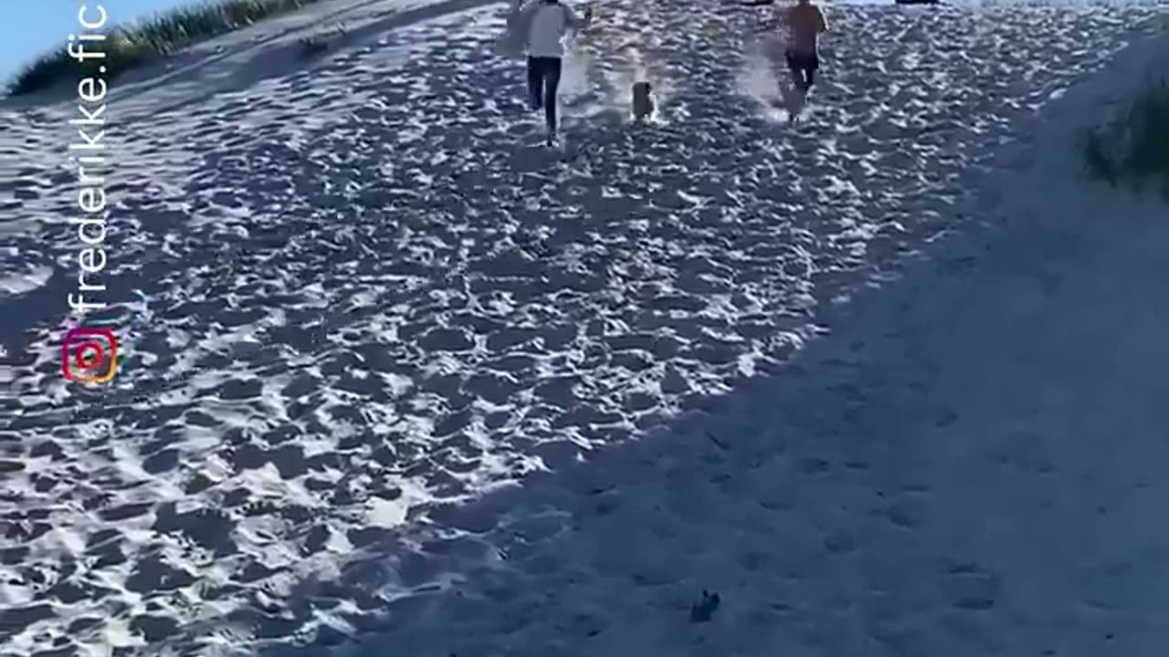 Funny video that will make you laugh