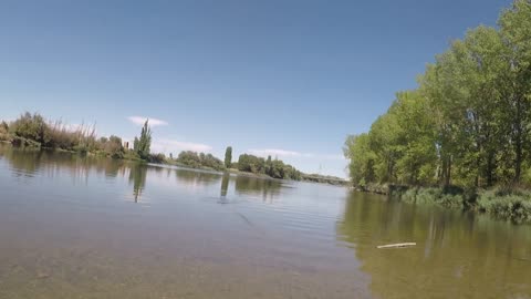 Barbel on the Fly - Running River Fly Fishing for Barbel in Spain